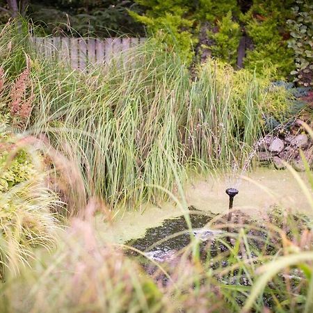 Calm Scottish Country Escape With Hot Tub Sleeps 6 Villa Инвернес Екстериор снимка