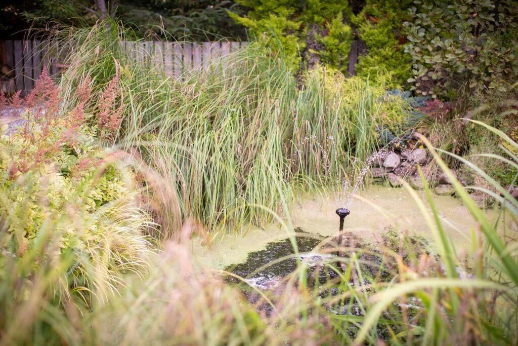 Calm Scottish Country Escape With Hot Tub Sleeps 6 Villa Инвернес Екстериор снимка